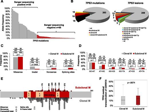 Figure 1. Molecular profile of subclonal TP53 mutations. (A) Allele frequency of the 85 TP53 mutations identified by ultra-deep-NGS. Mutations are ordered according to their allelic abundance. Mutations that tested positive (clonal mutations: gray bars) and negative (subclonal mutations: red bars) by Sanger sequencing are indicated. (B) Prevalence of TP53 lesions according to their clonal representation in the study cohort of 309 newly diagnosed CLL (for each category, the crude number of patients is represented). (C) Comparison of the molecular profile of subclonal mutations from the CLL study cohort (n = 50) vs clonal mutations from public CLL databases (n = 257; see Zenz et al29). p, P values by Fisher's exact test corrected for multiple hypothesis testing. (D) Comparison of the transition/transversion profile between subclonal TP53 substitutions from the CLL study cohort (n = 48) and clonal TP53 substitutions from public CLL databases (n = 210; see Zenz et al29). p, P values by Fisher's exact test corrected for multiple hypothesis testing. (E) Schematic diagram of the TP53 protein with its conserved functional domains. Color-coded shapes indicate the position of subclonal TP53 mutations from the CLL study cohort (n = 50; red shapes) and clonal TP53 mutations from public CLL databases (n = 257; gray shapes; see Zenz et al29). Hot spot codons recurrently affected by both subclonal and clonal TP53 mutations are highlighted. (F) Residual CDKN1A transactivation capacity of subclonal TP53 missense substitutions from the CLL study cohort (n = 39; red box) vs clonal TP53 missense substitutions from public CLL databases (n = 193; gray box; see Zenz et al29). The band inside the box is the median value. The bottom and top of the box are the 25th and 75th quartiles. The ends of the whiskers are the second percentile and the 98th percentile. p, P value by Mann-Whitney test.
