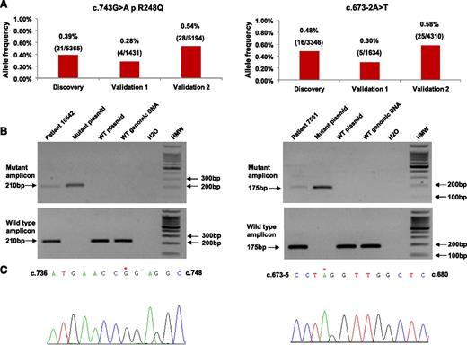 Figure 2. Experimental validation of subclonal TP53 mutations identified by ultra-deep-NGS. (A) Representation of the variant frequency of 2 exemplificative subclonal TP53 mutations (c.743G>A p.R248Q and c.673-2A>T) of very low allelic abundance (<0.5%). The first bar of the graphs shows the variant allele frequency in the discovery ultra-deep-NGS experiment. The second and third bars show the variant allele frequency in independent ultra-deep-NGS validation experiments. The number of mutated read outs of the total number of reads covering the variant position is reported. (B) Conventional agarose-gel electrophoresis of the AS-PCR products. Patient 10642, harboring the subclonal TP53 c.743G>A p.R248Q missense substitution (left), and patient 7561, harboring the subclonal TP53 c.673-2A>T splice site mutation (right), are represented. After AS-PCR for the mutant allele, a mutation-specific band is amplified from the patient sample and from the mutated plasmid DNA (positive control). No bands are amplified from the wild-type plasmid DNA and the wild-type genomic DNA from a healthy donor (negative controls), thus confirming the specificity of the assay. (C) Due to their low clonal abundance (<0.5%), the subclonal TP53 c.743G>A p.R248Q missense substitution (left) and the subclonal TP53 c.673-2A>T splice site mutation (right) are not detectable by conventional Sanger sequencing in patient 10 642 and patient 7561, respectively. Asterisks point to the positions of the subclonal variants.