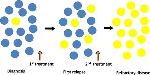 Clonal selection and expansion of TP53-mutated subclones during the clinical course of CLL. Yellow circles indicate the TP53-mutated CLL cell which expands through the disease course from below the level of conventional detection methods at diagnosis to become the dominant population in refractory disease. Blue circles indicate the non-TP53–mutated CLL cell which is the dominant clone at diagnosis but is subsequently replaced by the TP53-mutated subclone.