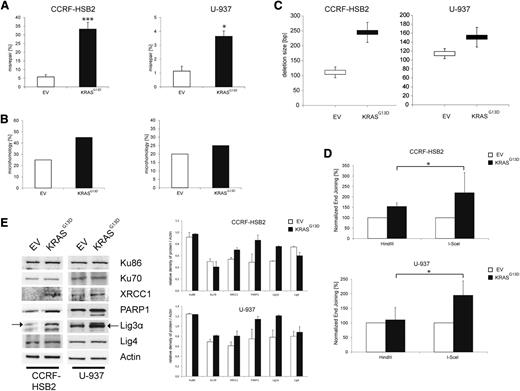 Figure 3. Expression of KRASG13D increases the misrepair frequency and deletion size. (A) Misrepair frequency was determined by an in vitro LacZα plasmid reactivation assay. Nuclear extracts were incubated with linearized pUC19 plasmids harboring a DSB in the LacZα gene. Misrepair frequency was calculated by the number of white colonies (misrepaired) related to the total colony numbers. Data represent the mean of ≥3 independent experiments ± SD (*P < .05, ***P = .0002, Student t test). (B) Microhomologies were defined by ≥2 bp. Bar graphs (white, EV; black, KrasG13D) show the percentage of repaired plasmids containing microhomologies at the site of religation. Twenty plasmids randomly selected from 3 experiments were sequenced and analyzed. (C) Analysis of deletion size of randomly selected, misrepaired (white colonies) plasmids incubated with nuclear extracts derived from (upper) CCRF-HSB2 or (lower) U-937. Data represent the mean values ± SD of 20 sequenced plasmids. White, EV; black, KRASG13D. (D) (Upper) CCRF-HSB2 cells and (lower) U-937 cells transduced with either EV or pLenti6.2-KRASG13D were transfected with either HindIII- or I-SceI–digested linearized plasmid in combination with pDsRed2-N1 as transfection control. After an incubation period of 72 hours, end-joining efficacy was determined by flow cytometry. Data shown represent mean values ± SD of 3 independent experiments (*P < .05, Student t test). (E) Protein expression of Ku86, Ku70, XRCC1, PARP1, Lig3α, and ligase 4 in cell extracts of transduced (left) CCRF-HSB2 and (right) U-937 cells. Shown is 1 representative analysis of 2 independent experiments. Bar graph show protein expression levels relative to actin determined by the means of densitometry of 2 independent experiments.