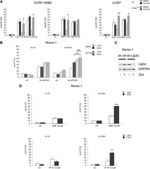 Figure 5. Targeting proteins of the alt-NHEJ pathway sensitizes cells toward cytotoxic agents. (A) CCRF-HSB2 cells were treated with either (left) cytarabine or (center) daunorubicin in combination with the PARP inhibitor NU1025 (10 mM) or vehicle (dimethylsulfoxide). (Right) U-937 cells were treated with daunorubicin in combination with NU1025 (10 mM) or vehicle (dimethylsulfoxide). After 48 hours, the percentage of sub-G1 cells was determined by flow cytometry. Data represent the mean values ± SD of 3 independent experiments (*P < .05, Student t test). (B) Nomo-1 cells infected with nonsilencing miR-shRNA or KRAS miR-shRNA were treated with daunorubicin (60 nM) in combination with NU1025 (10 mM) in the presence or absence of doxycycline. (C) Nomo-1 cells either expressing tetracycline-controlled transcriptional activation (tet-on–inducible) miR-shRNA targeting Lig3α or nonsilencing miR-shRNA were treated with 1 µg/mL doxycyclin. Immunoblot analysis was performed using an anti-Lig3α antibody. To control equal loading, the blot was stripped and reprobed with anti–glyceraldehyde-3-phosphate dehydrogenase (GAPDH). (D) miR-shRNA expressing Nomo-1 cells were treated with either (upper) daunorubicin (DNR) or (lower) VP-16. After 72 (DNR) or 48 hours (VP-16), the percentage of sub-G1 cells was determined by flow cytometry. Data represent the mean values of 3 independent experiments. Error bars correspond to SD (**P < .01, ***P < .001, Student t test).
