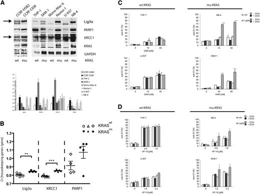 Figure 6. Endogenous mutated KRAS causes increased expression levels of alt-NHEJ proteins in hematopoietic cell lines and primary AML patient cells. (A) Protein expression and quantitative densitometry of Lig3α, PARP1, XRCC1, and KRAS in cell extracts derived from KRAS-mutated (CCRF-CEM, SKM-1, Nomo-1, NB-4) and KRAS wild-type leukemic cell lines (CCRF-HSB2, THP-1, Mono-Mac-6, U-937). To control equal loading, the blot was stripped and reprobed with an anti-GAPDH antibody. Bar graphs indicate expression levels relative to GAPDH determined by the means of densitometry of 3 independent experiments. (B) RQ-PCR analysis of Lig3α, XRCC1, and PARP1 in primary AML patient samples. Shown are the count values (Ct values) of each gene in relation to actin mRNA and HPRT mRNA. White, KRAS wild-type AML patients; black, KRAS mutant AML patients. Samples were read in duplicates. (**P < .01, ***P < .001, Student t test). Cell lines with (left) wild-type KRAS and (right) mutated KRAS were lentivirally transduced with either tet-on–inducible nonsilencing miR-shRNA or miR-shRNA targeting Lig3α. Knockdown of Lig3α was induced on treatment with doxycycline (black and dark gray bars). Cells were then treated with (C) daunorubicin (72 hours) or (D) VP-16 (48 hours), and the percentage of sub-G1 cells was determined by flow cytometry. Data shown represent mean values ± SD of 3 independent experiments (*P < .05, ***P < .001, Student t test).