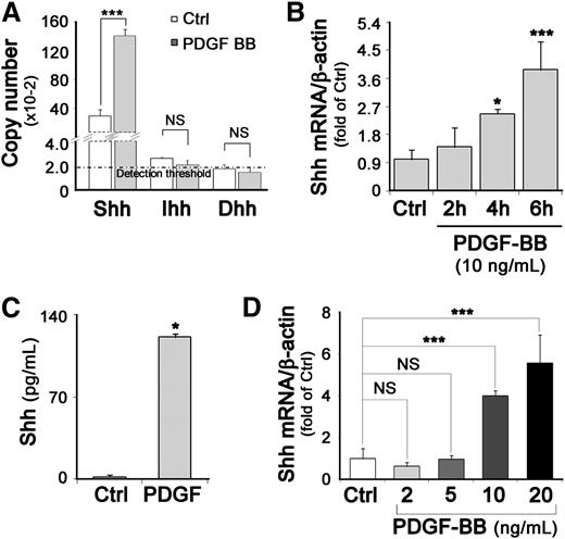 Figure 2. PDGF-BB stimulates Shh expression in SMCs. (A) SMCs were treated with 10 ng/mL PDGF-BB for 6 hours. The mRNA copy number of Shh, Dhh, and Ihh in stimulated (PDGF-BB) and unstimulated (Ctrl) SMCs was estimated by RT-qPCR. (B) Relative Shh mRNA expression in SMCs stimulated with PDGF-BB (10 ng/mL) for 2, 4, or 6 hours was determined by RT-qPCR; β-actin was used as housekeeping gene. (C) Concentrations of secreted Shh protein present in 24-hour–conditioned culture media from PDGF-BB–stimulated SMCs or unstimulated (Ctrl) SMCs were quantified by enzyme-linked immunosorbent assay. (D) Relative Shh mRNA expression in SMCs stimulated with different PDGF-BB concentrations was determined by RT-qPCR; data represent means ± SD from 3 independent experiments performed in triplicate. *P < .05; ***P < .0005.