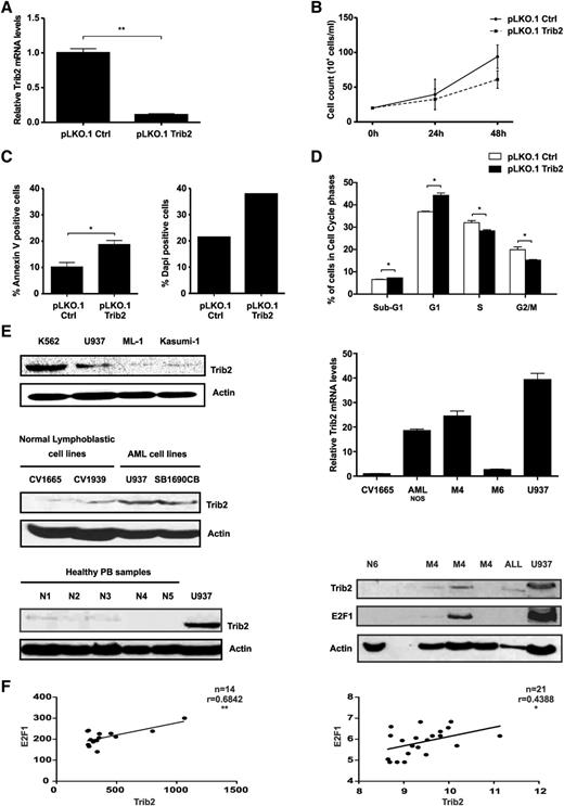 Figure 7. AML cells express high levels of Trib2 protein and correlate with E2F family members mRNA expression. (A) Real-time analysis of Trib2 mRNA levels in U937 cells following transduction with pLKO.1 control (Ctrl) or pLKO.1 Trib2. (B) Cell growth analysis in U937 cells transduced with pLKO.1 ctrl or pLKO.1 Trib2 assessed by trypan blue exclusion. (C) Cell death analysis in U937 transduced with pLKO.1 ctrl or pLKO.1 Trib2 assessed by (left) Annexin V and (right) DAPI staining. (D) Cell cycle analysis in sorted U937 cells transduced with pLKO.1 ctrl or pLKO.1 Trib2. Data presented are mean ± SD of duplicate cultures and representative of 2 independent experiments. (E) Western blot analysis of Trib2 protein expression in (top left) myeloid leukemia lines (K562, U937, ML-1, and Kasumi-1), (middle left) normal cell lines (CV1665 and CV1939), and (bottom left) normal peripheral blood (PB and N1-5). (Top right) Real-time analysis of Trib2 mRNA levels in AML patient samples. (Bottom right) Western blot analysis of Trib2 and E2F1 protein expression in normal PB (N6), AML patient samples (denoted by their subtypes), ALL patient samples, and U937 cells. Actin is shown as a protein loading control. (F) Correlation analysis of Trib2 vs E2F1 in the top 95th and 96th percentiles of patient samples from the dataset GSE115934(N = 14) and GSE1446835 (N = 21). P < .05 and correlation coefficient (Pearson r, close to +1) show significant positive correlations.