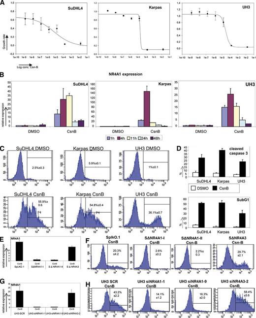 Figure 4. Determination of CsnB effects on aggressive lymphoma cell lines. (A) Estimation of cell growth by MTS assay of SuDHL4, Karpas422, and UH3 72 hours after CsnB treatment in a range from 2.5 × 10−3 to 5 × 10−9 M. Cell growth was estimated by using the MTS assay in comparison with each cell line treated with dimethylsulfoxide (DMSO) as vehicle control. (B) NR4A1 mRNA expression analysis in SuDHL4, Karpas422, and UH3 after treatment with 10 µM CsnB or DMSO. Relative expression levels were calculated in comparison with each cell line treated with DMSO as vehicle control. Each bar represents the mean values of expression levels ± SD. (C-D) Apoptosis assays of SuDHL4, Karpas422, and UH3 24 hours after 10 µM DMSO or CsnB treatment. To determine apoptotic effects of CsnB, annexin V (C) staining and estimation of the percentage of cleaved caspase 3 by using FACS analysis with specific fluorophore-labeled peptides or antibodies and SubG1 peak (D) determination by using FACS analysis for cell cycle distribution were performed. Each bar represents the mean values of expression levels ± SD for analyses for cleaved caspase 3 and SubG1 peak. (E) NR4A1 mRNA expression analysis of NR4A1 and NR4A3 silenced SuDHL4 lymphoma cells and vector control 24 hours after 10 µM CsnB treatment. Relative expression levels were calculated in comparison of SpLKO.1 treated with DMSO as vehicle control. The 2 replicates of NR4A1-silenced SuDHL4 cells were termed SΔNR4A1-I and SΔNR4A1-II; the NR4A3-silenced SuDHL4 cells, SΔNR4A3; and SuDHL4 just containing the empty vector, SpLKO.1. Each bar represents the mean values of expression levels ± SD. (F) Annexin V staining of SuDHL4 lymphoma cells NR4A1 silenced by shRNA or SuDHL4 lymphoma cells NR4A3 silenced by shRNA and vector control 24 hours after CsnB treatment. Annexin V staining was performed by using FACS analysis with specific fluorophore-labeled peptides. The 2 replicates of NR4A1 (SΔNR4A1-I and SΔNR4A1-II) and of NR4A3 (SΔNR4A3) were silenced in SuDHL4 cells. SpLKO.1 contains the empty vector. (G) NR4A1 mRNA expression analysis of NR4A1 and NR4A3 silenced in UH3 immortalized B cells and scrambled controls (UH3 SCR) 24 hours after 10 µM CsnB treatment. Relative expression levels were calculated in comparison of UH3 SCR treated with DMSO as vehicle control. UH3 cells transfected with 2 different siRNAs targeting NR4A1 were termed UH3-siNR4A1-1 and UH3-siNR4A1-9. The siRNA targeting NR4A3 was termed UH3-siNR4A3-2. Each bar represents the mean values of expression levels ± SD. (H) Annexin V staining of UH3 cells silenced by siRNA targeting NR4A1 or NR4A3 and scrambled control 24 hours after CsnB treatment. Annexin V staining was performed by using FACS analysis with specific fluorophore-labeled peptides.