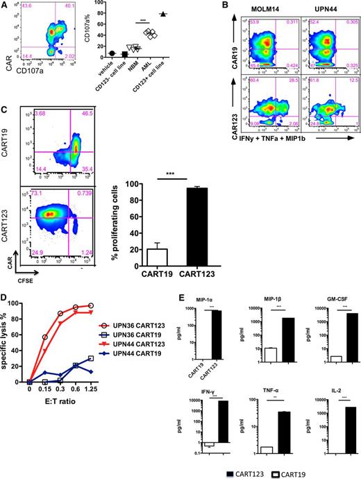 Figure 2. CART123 cells manifest multiple effector functions upon in vitro exposure to CD123-expressing targets. (A) Activation of CART123 cells by AML targets. CART123 cells were coincubated with normal bone marrow (NBM) cells, primary AML cells, or with CD123+ MOLM14 cells, and CD107a degranulation was measured via flow cytometry. CAR-expressing cells were identified by staining with goat anti-mouse F(ab′)2 reagent. CART123 cells alone and the CD123− Jurkat cell line were used as negative controls; P < .0001 (Student t test). (B) Antigen-specific cytokine production in response to CD123+ AML. CARs were detected using a goat anti-mouse F(ab′)2 (for CART123) or an anti-CAR19 idiotypic antibody (for CART19). Intracellular cytokines were interferon-γ, MIP1β, and tumor necrosis factor α. (C) Proliferation of CART123 in response to CD123+ primary AML. CART123 or CART19 cells were labeled with CFSE and exposed to primary AML cells for 96 hours. Proliferation was assessed by CFSE dilution; P < .001 (Student unpaired t test). (D) Cytotoxic targeting of primary AML blasts by CART123 after incubation for 16 hours at the indicated effector-to-target (E:T) ratios; CART19 cells were used as controls. Two representative examples are shown. (E) Cytokine profiling of CART123 (black) or CART19 (white) cells in response to 24-hour coincubation with MOLM14 cells. All results are representative of at least 2 experiments with similar results. IFN-γ, interferon-γ; IL-2, interleukin-2; GM-CSF, granulocyte macrophage colony-stimulating factor; TNF-α, tumor necrosis factor α.