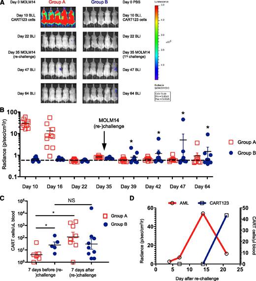 Figure 5. CART123 cells exhibit characteristics of immunologic memory. (A) In a challenge/rechallenge model, NSG mice were sublethally irradiated and then injected via tail vein with saline or with 1 × 106 green fluorescent protein/luciferase+ MOLM14 cells on day 0. After BLI quantification of AML burden and randomization into treatment groups, CART123 cells (1 × 106) were injected IV on day 10, and mice were followed with serial BLI until AML eradication. Approximately 2 weeks after AML clearance, all mice were challenged (right) or rechallenged (left) with 1 × 106 MOLM14 cells and followed with weekly retro-orbital venous bleeding for T-cell quantification and by BLI for AML burden. (B) Summary of BLI radiance in CART123-treated mice following rechallenge or primary challenge with MOLM14. Each symbol represents an individual animal. The dashed line depicts the mean radiance measurement of untreated NSG mice. (C) CART123-treated, MOLM14-treated mice that are rechallenged with MOLM14 demonstrate increased numbers of peripheral CART123 cells in comparison with CART123-treated mice administered MOLM14 cells for the first time. Mice were bled 7 days prior to (day 28) and 7 days following (day 42) injection of MOLM14 cells. CART123 cells were identified as live, singlet, human CD45+ CD3+ CAR+ cells per the gating strategy in supplemental Figure 7 and quantified using Countbright beads. (D) Representative mouse (the highest blue data point from Figure 5B) showing that initial failure to reject MOLM14 is associated with low CART123 cell numbers in peripheral blood and that late rejection is accompanied by emergence of CART123 cells. Results are representative of 2 to 5 independent experiments. NS, nonsignificant.