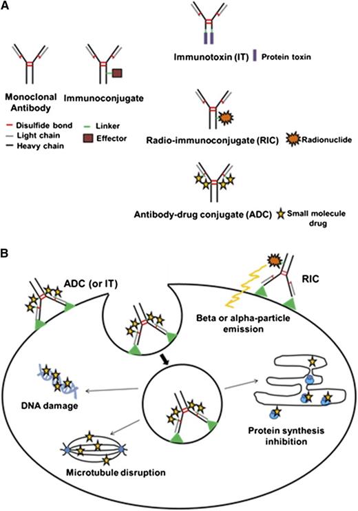 Figure 1. IC structure and mechanism of action. (A) IC types. Schematic diagrams of both a monoclonal antibody and an IC are depicted. An IC consists of a monoclonal antibody, linker, and effector molecule. The 3 general categories of ICs linked to different effector molecules are shown. An IT contains a protein toxin while an RIC possesses a radionuclide. An ADC carries a small-drug molecule. (B) Mechanism of IC activity. The mechanisms of action for the various ICs are illustrated. All ICs recognize and bind to a cognate tumor antigen or receptor. For ITs and ADCs, internalization via receptor-mediated endocytosis is required for entry into the target cell. Subsequent release of the effector moiety from the IC occurs via the conditional cleavage of the linker or protease degradation of the antibody within the endosomal/lysosomal compartment. The released effector toxin or drug diffuses into the cytoplasm and inhibits tumor growth by disruption of microtubules (ADC), damage to DNA (ADC), or inhibition of protein synthesis (IT). For RICs, internalization is not required for cell penetration and damage by the emitted α- or β-particles from the effector radionuclide.