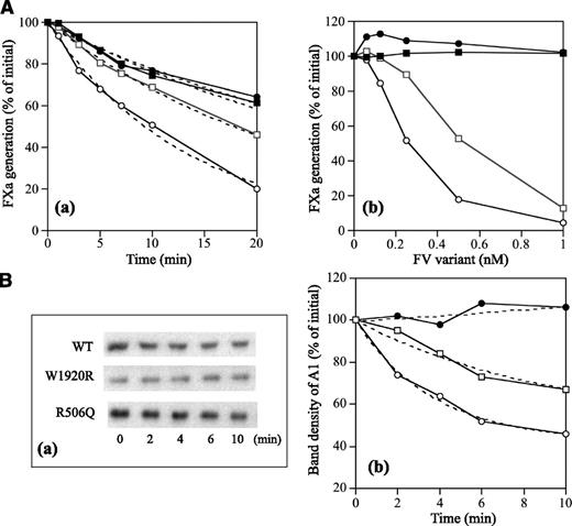 Figure 7. APC cofactor activity of FV-W1920R assessed by the degradation of FVIIIa. (A) FVIIIa inactivation. FVIII (10 nM) with PL (20 μM) was activated by thrombin (5 nM), followed by the addition of hirudin (2.5 U/mL). Generated FVIIIa was incubated either with mixtures of APC (0.5 nM), PS (5 nM), and FV variants (0.5 nM) for the indicated times (a) or with various concentrations of FV variants for 20 minutes (b). FXa generation was initiated by the addition of FIXa (2 nM) and FX (200 nM) for 1 minute. The symbols used are as follows: open circles, WT; closed circles, W1920R; open squares, R506Q; closed squares, no FV. Values of FXa generation at the initial time (a) or in the absence of FV variants (b) were regarded as 100%. The data in (a) were fitted on an equation of single exponential decay (dashed lines). All experiments were performed at least 3 separate times, and the average values are shown. (B) A1 cleavage at Arg336; FVIII (10 nM) with PL (20 μM) was activated by thrombin (5 nM) for 30 second, followed by the addition of hirudin (2.5 U/mL). Generated FVIIIa was incubated with mixtures of APC (0.5 nM), PS (5 nM), and FV variants (0.5 nM) for the indicated times. Samples were analyzed on 8% gels, followed by western blotting using an anti-A1 C5 IgG, as described in “Materials and methods” (a). Band densities of intact A11-372 observed from panel a were measured by quantitative densitometry. Density before the addition of APC was regarded as 100% (b). The plotted data were fitted in an equation of single exponential decay (dashed lines). The symbols used are as follows: open circles, WT; closed circles, W1920R; open squares, R506Q. All experiments were performed at least 3 separate times, and the average values are shown.