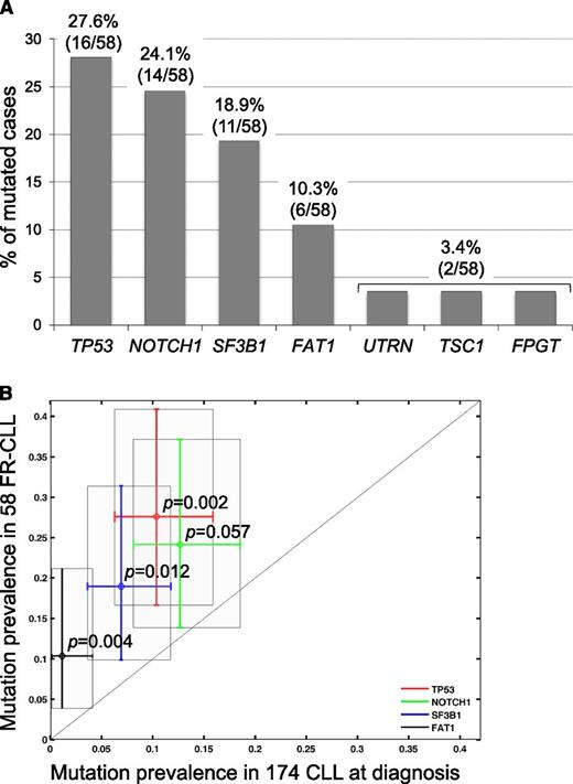 Figure 2. Screening of the recurrently mutated genes. (A) Percentage of FR-CLL primary cases harboring mutations in candidate genes after targeted resequencing of a screening dataset (total N = 58 FR-CLL, including discovery and screening cases). The number of mutated cases over total analyzed is as follows: TP53, 16/58 (27.6%); NOTCH1 14/58 (24.1%); SF3B1 11/58 (18.9%); FAT1 6/58 (10.3%); UTRN 2/58 (3.4%); TSC1 2/58 (3.4%); FPGT 2/58 (3.4%). (B) Prevalence of TP53 (P = .002), NOTCH1 (P = .057), SF3B1 (P = .012), and FAT1 (P = .004) mutations in 58 FR-CLL vs 174 unselected CLL cases at diagnosis.