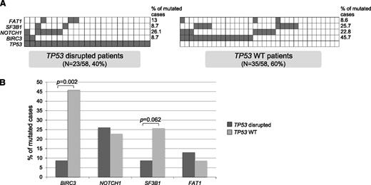 Figure 5. Comparison between TP53 WT and TP53 disrupted cases. (A) Mutual relationship of TP53 disruption with other gene alterations in FR-CLL. In the heat map, rows correspond to identical genes and columns represent individual patients, color-coded based on the gene status (white indicates WT; gray indicates mutations and/or deletion of TP53, mutations and/or deletion of BIRC3, mutations of SF3B1, and mutations of NOTCH1). (B) Percentage of TP53 disrupted and TP53 WT CLL primary cases harboring mutations in the indicated genes.