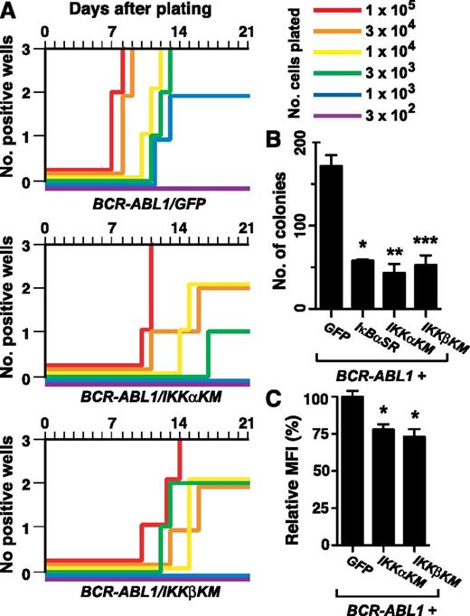 Figure 4. Kinase-inactive IKK mutants inhibit B-lymphoid transformation by BCR-ABL1. BM from non–5-FU–treated Balb/c donor mice was harvested and transduced with retrovirus expressing BCR-ABL1/GFP, BCR-ABL1/IKKαKM, or BCR-ABL1/IKKβKM. (A) Assessment of stromal-dependent B-lymphoid transformation and growth. Nomenclature is as in Figure 1E. (B) B-lymphoid colony formation in agarose. Transduced cells (2 × 106 per plate, in duplicate) were seeded in agarose as described in “Materials and methods.” Colony formation was assessed at day 14. Coexpression of IκBαSR (*P = .0063), IKKαKM (**P = .0082), and IKKβKM (***P = .0101) (Student t tests) significantly reduced B-lymphoid colony formation mediated by BCR-ABL1. (C) Quantification of nuclear RelA expression in primary B-lymphoid progenitors transformed by BCR-ABL1/GFP, BCR-ABL1/IKKαKM, or BCR-ABL1/IKKβKM (mean + SE). Cells were stained with antibody against RelA and analyzed by confocal microscopy. BCR-ABL1/IKKαKM– and BCR-ABL1/IKKβKM–transformed cells showed significantly reduced nuclear RelA compared with cells transformed by BCR-ABL1/GFP (*P < .0001, Student t test).