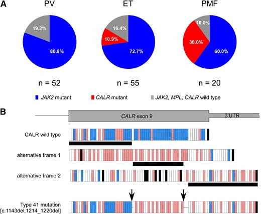 Figure 1. Distribution of mutations according to diagnosis and description of the novel CALR mutation. (A) JAK2 mutations were present in 42 of 52 (80.8%) patients with PV, 40 of 55 (72.7%) patients with ET, and 12 of 20 (60%) patients with PMF. CALR mutations were identified in 6 of 55 (10.9%) patients with ET and 6 of 20 (30%) patients with PMF. The remaining 10 patients (19.2%) with PV, 9 patients (16.4%) with ET, and 2 patients (10%) with PMF did not carry any mutation. (B) The novel type 41 is a complex mutation, consisting of 2 separate deletion events of 1 bp and 7 bp. These 2 deletions were shown to be on the same allele by polymerase chain reaction product subcloning and sequencing, as described previously.9 The first deletion introduces a frameshift to alternative frame, which is common to all CALR exon 9 mutations, whereas the second deletion causes a frameshift to the third alternative frame at the end of exon 9. Because the next stop codon comes later in the third frame, this mutation creates the longest CALR protein described so far (20 amino acids longer than the wild type). Each vertical bar represents an amino acid: blue bars indicate negatively charged amino acids, red bars indicate positively charged amino acids, white bars indicate uncharged amino acids, and black bars indicate stop codons. Horizontal black bars below the frames denote the amino acid stretch encoded by the respective frame. The arrows indicate the location of the 2 deletions. 3′ UTR, 3′ untranslated region of the gene.
