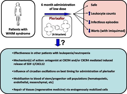 Schematic of results from the McDermott et al study,1 and questions emanating from the results.
