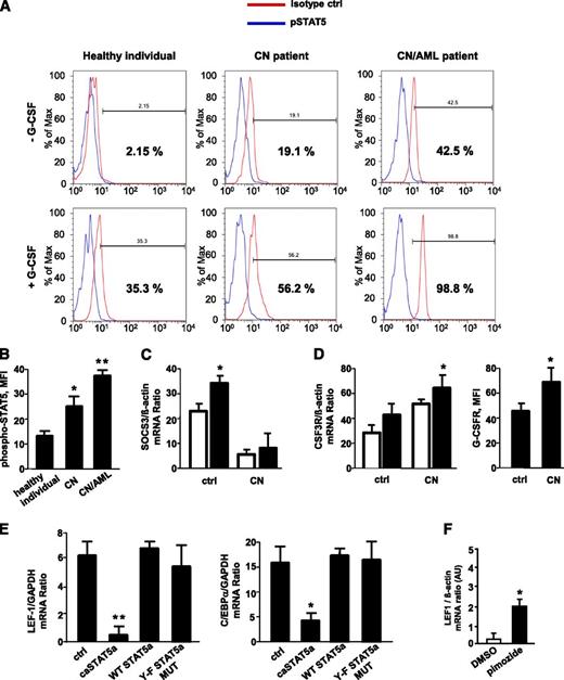 Figure 1. G-CSF–triggered phosphorylation of STAT5 is elevated in myeloid cells of CN patients; caSTAT5a inhibits mRNA expression of LEF-1 and its target gene C/EBPα. The levels of phospho-STAT5 in myeloid cells were assessed by FACS analysis of CD34+ cells from healthy individuals (n = 4), CN patients harboring ELA2 (n = 3) or HAX1 (n = 3) mutations, and CN patients who developed AML (n = 3) after incubating with or without recombinant human G-CSF (10 ng/mL) for 10 minutes. Cells were immunostained with an anti-phospho-STAT5 (Y694) antibody and isotype control antibody. (A) Representative histograms showing phSTAT5 (blue) and isotype (red) staining are depicted. (B) Bars show mean fluorescence intensity (MFI) of phospho-STAT5 (Y694) staining in CD34+ cells treated with G-CSF as described previously. Data represent means ± standard deviation (SD) and are derived from 2 independent experiments, each in triplicate (*P < .05, **P < .01). (C) SOCS3 mRNA expression in CD33+ cells from G-CSF–treated healthy individuals (n = 3) and G-CSF–treated CN patients (n = 6) was measured by quantitative reverse-transcription polymerase chain reaction (qRT-PCR). SOCS3 mRNA levels were normalized to those of β-actin and are presented as arbitrary units (AUs). Data represent means ± SD and are derived from 2 independent experiments, each in triplicate (*P < .05). (D) G-CSFR mRNA and G-CSFR protein surface expression in CD33+ cells of G-CSF–treated healthy individuals (n = 3) and G-CSF–treated CN patients (n = 6). mRNA expression was measured by qRT-PCR. G-CSFR mRNA levels were normalized to those of β-actin and are expressed as AUs. Data represent means ± SD and are derived from 2 independent experiments, each in triplicate (*P < .05). (E) CD34+ hematopoietic progenitor cells were transduced with a retroviral expression construct for caSTAT5a, WT STAT5a, STAT5a Y-F MUT, or ctrl-rv. After 60 hours of culture in X-VIVO 10 medium (Cambrex) supplemented with 20 ng/mL IL-3, 20 ng/mL IL-6, 20 ng/mL thrombopoietin, 50 ng/mL stem cell factor, 50 ng/mL Flt3 ligand, and 10 ng/mL G-CSF, green fluorescent protein–positive cells were sorted, and LEF-1 and C/EBPα mRNA levels were measured by qRT-PCR. LEF-1 and C/EBPα mRNA levels were normalized to those of glyceraldehyde-3-phosphate dehydrogenase and are expressed as AUs. G-CSFR surface expression was measured by FACS. Data represent means ± SD and are derived from 2 independent experiments, each in triplicate (*P < .05, **P < .01). (F) CD34+ cells from 1 CN patient were incubated with 5 μM pimozide, a specific STAT5 inhibitor, for 48 hours, and LEF-1 mRNA expression was measured by qRT-PCR. LEF-1 mRNA levels were normalized to those of β-actin and are expressed as AUs. Data represent means ± SD and are derived from 2 independent experiments, each in duplicate (*P < .05). DMSO, dimethylsulfoxide.