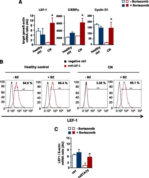 Figure 6. Restoration of defective LEF-1 expression and activity by treatment of CN CD34+ progenitors with bortezomib. In vitro G-CSF–triggered granulocytic differentiation of CD34+ cells from CN patients and healthy individuals was performed in the presence or absence of bortezomib (10 nM), as described in Materials and Methods. (A) mRNA expression of LEF-1 and the LEF-1 target genes C/EBPα and cyclin D1 in studied groups, as assessed by RT-PCR. LEF-1, C/EBPα, and cyclin D1 mRNA levels were normalized to those of β-actin and are presented as AUs. Data represent means ± SD and are derived from 3 independent experiments, each in triplicate (*P < .05, **P < .01). (B) Intracellular expression levels of LEF-1 protein detected using FACS analysis, as described in “Materials and methods”. Representative histograms as well as percentages of positive cells are depicted. (C) CD34+ cells from healthy individuals were transduced with caSTAT5a or ctrl rv constructs and incubated with or without bortezomib (10 nM). After 26 hours of treatment, cells were sorted and LEF-1 mRNA expression was measured by qRT-PCR. LEF-1 mRNA levels were normalized to those of β-actin and are presented as AUs. Data represent means ± SD and are derived from 2 independent experiments, each in duplicate (*P < .05).
