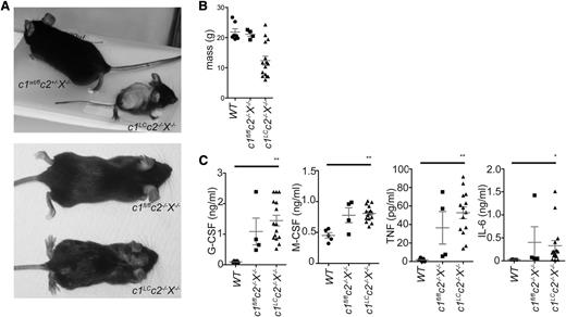 Figure 1. Specific combined loss of cIAPs and XIAP in the myeloid lineage results in chronic inflammation. (A) Image of a c1LCc2−/−X−/− mouse (deficient for cIAP1 only in myeloid cells and deficient for cIAP2 and XIAP in all tissues) and a littermate mouse. (B) Weights of c1LCc2−/−X−/−, c1fl/flc2−/−X−/−, and WT mice. (C) Levels of G-CSF, M-CSF, TNF, and IL-6 in the sera of c1LCc2−/−X−/−, c1fl/flc2−/−X−/−, and WT mice. Each point represents an individual mouse. Mean ± standard error of the mean (SEM) are shown. **P < .01; *P < .05.