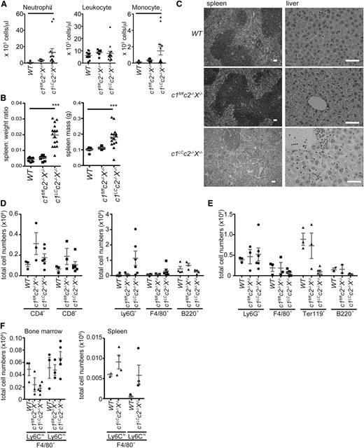Figure 2. Combined loss of cIAPs and XIAP in the myeloid lineage causes granulocytosis, splenomegaly, and extramedullary hematopoiesis. (A) The numbers of neutrophils, monocytes, and total leukocytes per microliter of blood in c1LCc2−/−X−/−, c1fl/flc2−/−X−/−, and WT mice were determined by using an automated ADVIA blood analyzer. (B) The ratios of the spleen to total body weight, as well as the spleen weights of 6- to 12-week-old c1LCc2−/−X−/− and control (WT, c1fl/flc2−/−X−/−) mice were determined by weighing the mice and their spleens. (C) Splenic architecture and liver histology of WT, c1fl/flc2−/−X−/−, and c1LCc2−/−X−/− mice. The bars represent 50 µm; ×10, numerical aperture (NA) 0.3 and ×40, NA 0.6 magnification, respectively. (D) Total numbers of CD4+ T cells, CD8+ T cells, total B cells (B220+), granulocytes (Ly6G+), and macrophages (F4/80+) in spleens of 6- to 12-week-old c1LCc2−/−X−/− as well as control (WT, c1fl/flc2−/−X−/−) mice were determined by counting total leukocytes in these tissues and multiplying them with the percentages of these cell subsets that were determined by flow cytometric analysis. (E) The numbers of erythroid (TER119+), B lymphoid (B220+), granulocytic (Ly6G+), and macrophage/monocyte (F4/80+) cells in the bone marrow of c1LCc2−/−X−/− and control (WT, c1fl/flc2−/−X−/−) mice were determined as in panel C. (F) The numbers of F4/80+ cells were further assessed as resident (Ly6Clo) or inflammatory (Ly6Chi) in the bone marrow and spleen of c1LCc2−/−X−/−, c1fl/flc2−/−X−/−, and/or WT mice. In panels B-F, each data point represents an individual mouse (6-12 weeks old); the mean ± SEM are also shown. **P < .01; *P < .05.