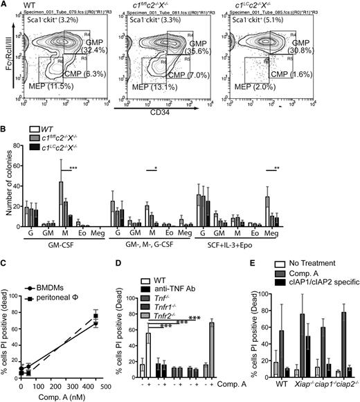 Figure 3. Combined loss of cIAPs and XIAP does not impair myeloid cell differentiation but impairs survival of cells in macrophage colonies. (A) Representative fluorescence-activated cell sorter plots with percentages of surface marker staining to identify myeloid progenitors in the bone marrow of WT, c1fl/flc2−/−X−/−, and c1LCc2−/−X−/− mice. Cells were gated for Sca1–c-kit+ and further gated for FcγRcII/III and CD34 (CMP, common myeloid progenitor; GMP, granulocyte macrophage progenitor; MEP, megakaryocyte erythrocyte progenitor). (B) Spleen cells from newborn WT, c1fl/flc2−/−X−/−, and c1LCc2−/−X−/− mice were plated in agar with either GM-CSF, Multi-CSF (GM-, G-, M-CSF), or stem cell factor (SCF) + IL-3 + Epo, and the numbers and morphologies of the colonies (Eo, eosinophil; G, granulocytes; GM, granulocyte-macrophage; M, macrophage; Meg, megakaryocyte) determined after 7 days. N = 3 biological replicates. (C) BMDMs and peritoneal macrophages were treated with the indicated concentrations of the Smac mimetic Comp. A and assayed 24 hours for cell death by flow cytometry. (D) BMDMs from mice of the indicated genotypes were either left untreated (-) or treated with Comp. A (500 nM, 24 hours; +). The percentages of dead cells were determined by flow cytometric analysis after staining with PI. N = 3 experiments with BMDMs from individual mice. (E) BMDMs from mice of the indicated genotypes were left untreated (open bars) or treated for 24 hours with either 500 nM Comp. A, a Smac mimetic that inhibits all of cIAP1, cIAP2, and XIAP, or with 500 nM of a Smac mimetic that only inhibits cIAP1 and cIAP2. The percentages of dead cells were determined by staining with PI followed by flow cytometric analysis. N = 3 experiments with BMDMs from individual mice of the genotypes indicated. Mean ± SEM are shown. **P < .01; *P < .05.