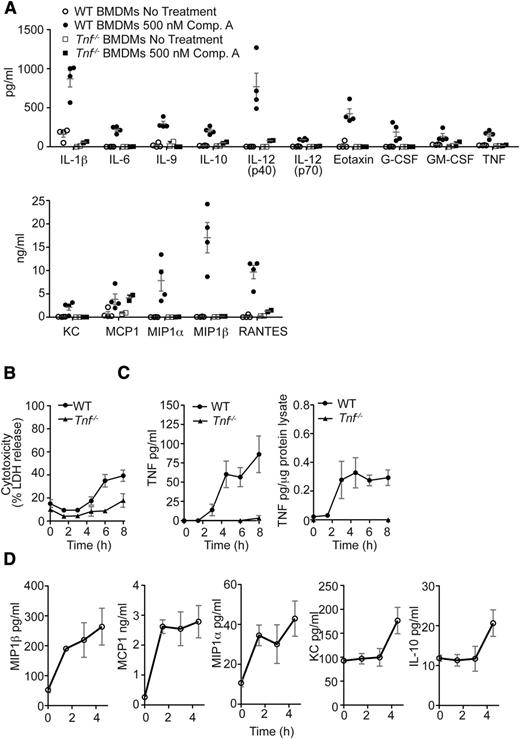 Figure 4. Smac mimetics stimulate cytokine production in macrophages prior to initiation of cell death. (A) WT or Tnf−/− BMDMs were either left untreated or stimulated in culture for 24 hours with the Smac mimetic Comp. A (500 nM). The concentrations of the cytokines indicated were measured by multiplex bead assays. N = 4 experiments with BMDMs from individual WT mice; N = 2 experiments with BMDMs of individual Tnf−/− mice. (B) LDH release was measured in supernatants of WT and Tnf−/− BMDMs after treatment with 500 nM Comp. A over 0-8 hours. N > 6 experiments with BMDMs from individual WT mice. (C) WT BMDMs were stimulated in culture for the times indicated with 500 nM Comp. A, and TNF was measured in cell lysates and supernatants. N > 3 experiments with BMDMs from individual WT mice. (D) WT BMDMs were stimulated in culture for the times indicated with 500 nM Comp. A. Culture supernatants were assayed for various cytokines by multiplex bead assay. N = 3 experiments with BMDMs from individual WT mice. Mean ± SEM are shown. **P < .01; *P < .05.