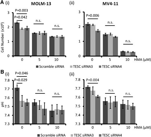 Figure 3. NHE1 being the target of TESC in AML. HMA treatment completely abolished the growth inhibitory effects (A) and intracellular acidification (B) of TESC knockdown in MOLM-13 (Ai, Bi) and MV4-11 (Aii, Bii). n.s., no significant difference as defined by P > .05.