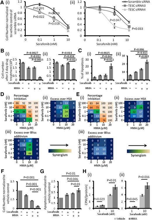 Figure 4. NHE1 inhibition resulted in sorafenib sensitivity induction. (A) TESC knockdown significantly potentiated the cytotoxic effect of sorafenib in (i) MOLM-13 and (ii) MV4-11. (B) HMA and sorafenib synergistically inhibited the growth of (i) MOLM-13 and (ii) MV4-11. (C) Combination of HMA and sorafenib also induced more apoptosis in (i) MOLM-13 and (ii) MV4-11 compared with single agent and vehicle control. The concentrations of sorafenib and HMA used in MOLM-13 (Bi and Ci) were 1 nM and 10 μM and in MV4-11 (Bii and Cii) were 1 nM and 1 μM. (Di) Effects of HMA and sorafenib-mediated percentage growth inhibition in MOLM-13. Each number represented the mean of triplicate experiments. (ii) Difference in percentage growth inhibition between combination treatment and either sorafenib or HMA alone, whichever had a stronger effect. HSA, highest single agent. (iii) Difference in percentage growth inhibition between combination treatment and the multiplication product of growth inhibition by each treatment alone (excess over Bliss additivism). The difference reflected the magnitude of the synergism as shown by the scale bar. (Ei-iii) The results obtained from MV4-11. (F) Combination of HMA and sorafenib enhanced the growth inhibitory and (G) apoptosis effects of primary FLT3-ITD+ AML samples. The average results of 5 primary samples were shown. (H) Pretreatment with HMA (10 μM) significantly upregulated the intracellular level of sorafenib in both (i) MOLM-13 and (ii) MV4-11. The count per minute (CPM) was normalized by the amount of protein in the samples.