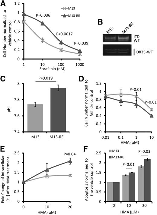 Figure 5. Sorafenib-resistant MOLM-13 cells were more sensitive to HMA. (A) Compared with M13, M13-RE showed an increase in IC50 to sorafenib. (B) No novel ITD and D835Y mutation in M13-RE. Detection of D835Y has been described previously.16 M13-RE cells also showed (C) higher pHi, (D) higher sensitivity to HMA in term of growth inhibition, (E) intracellular acidification, and (F) apoptosis.
