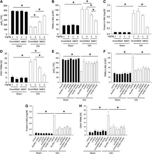 Figure 3. Disruption of CXCL4/CCL5 heteromer formation decreases the severity of VILI. WT mice were treated with 1 or 3 mg/kg MKEY or scrambled control peptide 15 minutes before the initiation of mechanical ventilation with sham or VILI settings. (A) The paO2/FiO2 ratio, (B) neutrophil recruitment into the alveoli, and (C) protein concentration in the BAL were analyzed after 2 hours (n = 4). (D) The formation of circulating platelet-neutrophil aggregates was measured by flow cytometry 30 minutes after induction of sham or VILI ventilation (n = 4). Tyrobp−/−/Fcer1g−/− mice or WT mice were treated with busulfan, MKEY, blocking antibodies against CXCL4, CCL5, LFA1, Mac1, or a combination and (E) the paO2/FiO2 ratio, (F) neutrophil recruitment into the BAL, and (G) protein concentration in the BAL were analyzed after 2 hours (n = 4). (H) The formation of circulating platelet-neutrophil aggregates was measured by flow cytometry 30 minutes after induction of sham or VILI ventilation (n = 4). *P < .05.