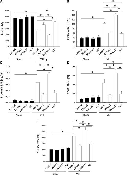 Figure 5. Modulation of NET formation by DNAse1 or neutrophil elastase influences neutrophil recruitment, vascular permeability, and severity of VILI. WT mice with or without DNAse1 pretreatment and DNAse1−/−/Trap1m/m (DNAse1−/−) mice and neutrophil elastase–deficient (NE−/−) mice were ventilated with sham or VILI settings. (A) The paO2/FiO2 ratio, (B) neutrophil recruitment into the alveoli, and (C) protein concentration in the BAL were analyzed after 2 hours (n = 4). (D) The formation of circulating platelet-neutrophil aggregates was measured by flow cytometry 30 minutes after induction of sham or VILI ventilation (n = 4). (E) Circulating NET structures were quantified by MPO-DNA-ELISA (n = 4). *P < .05.