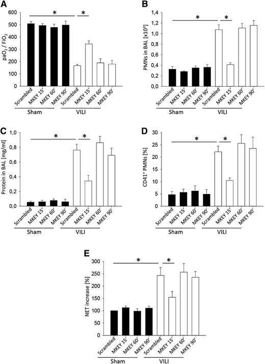 Figure 6. The therapeutic application of MKEY decreases the severity of VILI. WT mice were treated with 3 mg/kg MKEY or scrambled control peptide 15, 60, or 90 minutes after the induction of mechanical ventilation with sham or VILI settings. (A) The paO2/FiO2 ratio, (B) neutrophil recruitment into the alveoli, and (C) protein concentration in the BAL were analyzed after 2 hours (n = 4). (D) The formation of circulating platelet-neutrophil aggregates was measured by flow cytometry 30 minutes after induction of sham or VILI ventilation (n = 4). (E) Circulating NET structures were quantified by MPO-DNA-ELISA (n = 4). *P < .05.