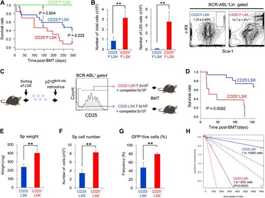 Figure 2. CD25+F−LSK cells retain higher LIC capacity than CD25−F−LSK cells. (A) Survival curves of secondary recipients injected with BCR-ABL+CD25+F+LSK (n = 4), CD25+F−LSK (n = 13), and CD25−F−LSK cells (n = 17). (B) Expansion capacity of CD25+F−LSK or CD25−F−LSK cells ex vivo. Left, Cell numbers of indicated fractions; right, representative profiles (means ± SD, n = 4). (C) Experimental design. BCR-ABL+CD25+LSK or BCR-ABL+CD25−LSK cells were transplanted into lethally irradiated recipient mice. (D) Survival curves of the CD25+LSK (n = 8) and CD25−LSK (n = 16) groups after transplantation. (E-G) Spleen weight (E), spleen cell number (F), and percentage of BCR-ABL+ cells in spleens (G) of the CD25+LSK (n = 4) and CD25−LSK groups (n = 11) created in panel C were examined 11 days after transplantation (means ± SD). (H) Limiting-dilution analysis of the leukemia-initiating ability of the CML LIC population. Seven mice in each group (CD25+LSK or CD25−LSK) received transplants with each dosage of cells (70, 700, or 7000). **P < .01.