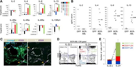 Figure 4. IL-2 from the microenvironment maintains Th2 cytokine-producing CD25+ CML LICs. (A) qPCR analysis of Th2 cytokine ligands and receptors in the indicated fractions from CML model mice (means ± SD, n = 4). (B) Serum cytokine levels in CML model mice and the control group were examined 11 days after transplantation (mean ± SD; CML, n = 6; GFP, n = 7). (C) Immunohistochemistry of bone marrow from CML model mice (white arrow: CD25+Lin− LIC, orange arrowhead: Lin+IL-2+ cell). Blue: Lineage marker; green, GFP (ie, BCR-ABL+); magenta, CD25; white, IL-2. (D-E) BCR-ABL–transduced LSK cells were cultured in SF-O3 medium supplemented with 100 ng/mL TPO plus 100 ng/mL SCF; 100 ng/mL IL-2 or vehicle was added 4 days later. Cells were analyzed 16 days later. Representative profiles of the LSK fraction (D) and cell number (E) are shown as mean frequencies and cell numbers ± SD (n = 5). *P < .05; **P < .01.