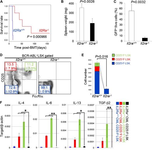 Figure 5. Genetic ablation of CD25 prevents pathogenesis of CML. (A) Survival of Il2ra+/+ (n = 11) or Il2ra−/− (n = 10) LSK-derived CML mice. (B-C) Spleen weight (B) and percentage of BCR-ABL+ cells in the spleen (C) of Il2ra+/+ or Il2ra−/− LSK–derived CML mice were examined 11 days after transplantation (n = 4; means ± SD). (D-E) Flow cytometric analysis of the frequency (D; means ± SD) and number (E; means ± standard error of the mean) of bone marrow LSK cells in Il2ra+/+ or Il2ra−/−LSK–derived CML mice (n = 4). (F) qPCR analysis of IL-4, IL-6, IL-13, and TGF-β2 mRNA in the indicated fractions from Il2ra+/+ or Il2ra−/− LSK–derived CML mice (means ± SD, n = 4). *P < .05; **P < .01. mRNA, messenger RNA.