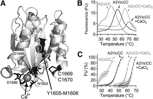 Figure 1. Structure and thermodynamic unfolding of the VWF A2 domain. (A) Crystal structure of the VWF A2 domain (PDB 3ZQK, modified in Pymol) is shown with the vicinal disulphide bond (C1669, C1670), scissile bond (Y1605, M1606), and Ca2+-coordinating residues in black. (B) DSF measurements using the dye SyproOrange were taken at 510 nm every 1°C, with a ramp 1°C min−1, over a temperature range of 25°C to 80°C. FU reads were individually baseline corrected to a buffer only control with EDTA or CaCl2. Representative curves of the VWF A2 domain constructs A2VicCC and A2∆CC in the presence of an excess of 5 mM CaCl2 or 1mM EDTA to chelate-free Ca2+ are shown. (C) The unfolding curves were normalized, the lowest FU value was assigned as 0% and the highest FU value represents 100%. Resultant curves were fitted using the sigmoidal Boltzmann equation in Graphpad and the transition midpoint (Tm) calculated, see Table 1. Results are means of at least 3 independent experiments ± standard error of the mean (SEM).