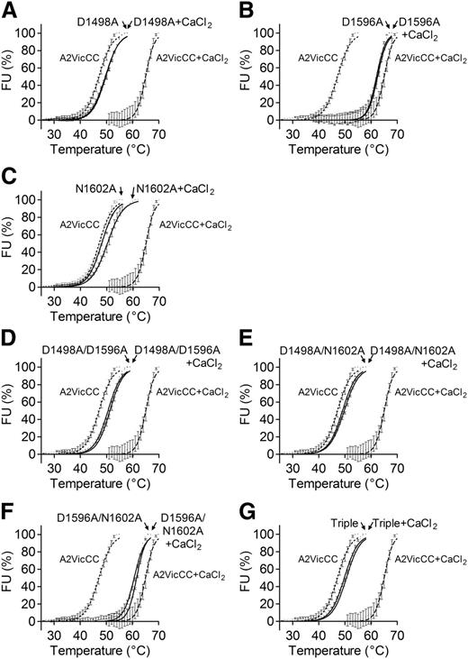 Figure 2. Mutagenesis of Ca2+-coordinating residues abolishes the stabilizing effect of Ca2+ in A2VicCC. DSF measurements were carried out in the presence of 5 mM CaCl2 (black) or 1 mM EDTA (gray) with the WT A2VicCC construct and Ca2+-binding site mutants D1498A (A), D1596A (B), N1602A (C), D1498A/D1596A (D), D1498A/N1602A (E), D1596A/N1602A (F), and D1498A/D1596A/N1602A (triple, G). Results are means ± SEM of at least 3 independent experiments.