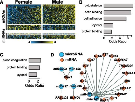 Figure 4. RNAs associated with gender. (A) Multicomponent heatmap of RNAs DE by gender. The upper 2 heatmaps are mRNAs higher and lower in men compared with women, respectively. The bottom 2 heatmaps show miRNAs higher and lower in men compared with women, respectively. The vertical red stripe indicates probesets mapping to genes located on the Y chromosome. Odds ratios of (B) enriched GO categories among mRNAs DE by gender and (C) putative targets of miRNAs DE by gender. (D) A network of miRNAs-mRNAs DE by gender. Network was generated as in Figure 3 except the miRNA was predicted to target the mRNA by ≥1 target prediction algorithm contained in mirDip, and the Spearman correlation coefficient between miRNA abundance and mRNA abundance was less than −0.15 (supplemental Table 7).