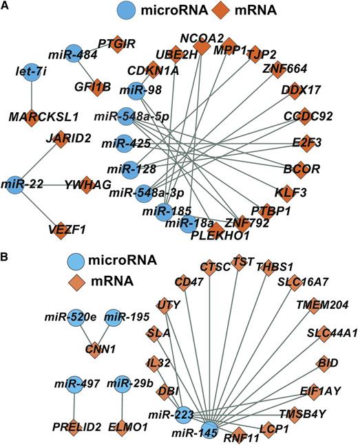 Networks of microRNA and mRNA differentially expressed by age (A) and gender (B). See Figures 3D and 4D in the article by Simon et al that begins on page e37.