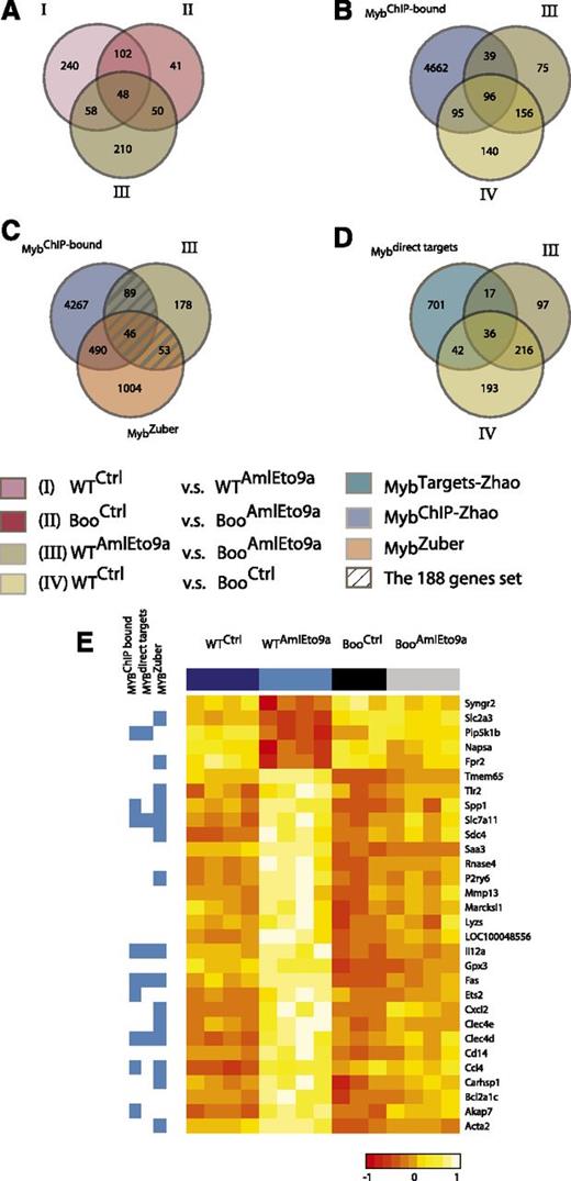 Figure 5. Expression profiling reveals Myb-p300–regulated genes important for AML1-ETO–mediated transformation. (A-D). Venn diagrams and key below showing gene numbers and overlaps between gene sets I, II, III, and IV as defined in the text and supplemental Table 2, genes identified as binding c-Myb by chromatin immunoprecipitation and as Myb targets in Zhao et al,41 and genes affected by c-Myb short hairpin RNA knockdown in an MLL-AF9 leukemia model21 (supplemental Table 3). (E) Expression levels (heatmap) of a subset of the 58 genes in (A) regulated by AML1-ETO9a in WT but not in Boo cells, and their membership in c-Myb-related gene sets (blue side bar).