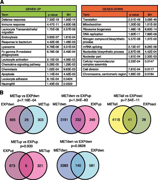 Figure 4. Differentially expressed genes are enriched in neutrophil function-related factors and overlap with DNA methylation changes. (A) Lists of differentially expressed genes were generated from microarray analysis based on a BH adjusted P < .05 and a fold change >2 between any 2 cell populations (eg, CMP vs GMP and CMP vs PMC). The lists of up-regulated genes from all comparisons and the lists of down-regulated genes from all the comparisons were combined. Genes appearing on both lists (oscillating genes) were removed and analyzed separately (supplemental Figure 6C). Gene lists were used for gene ontology analysis using the DAVID Bioinformatics Resources. The tables include selected GO terms. Only terms not present in both lists are shown. BH, Benjmini-Hochberg adjusted P value. (B) Venn diagrams showing the overlap between differentially methylated and differentially expressed genes. Lists of differentially methylated genes include all genes with ≥1 DMS from 1500 bp upstream of TSS to the end of the 3′UTR. Separate lists for genes with increased and decreased methylation were made, excluding genes with oscillating DMSs or >1 DMS changing in separate directions. Lists of differentially methylated genes and differentially expressed genes were filtered for genes present on both platforms and compared for overlap. P values were calculated using the hypergeometric distribution test. METdwn, genes with decreased methylation; METup, genes with increased methylation; EXPdwn, genes with decreased expression; EXPup, genes with increased expression; METall, all differentially methylated genes; EXPosci, genes with oscillating expression.