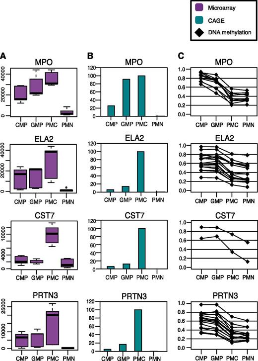 Figure 5. DNA methylation is reduced when MPO, ELA2, CST7, and PRTN3 expression increases. Transcription and DNA methylation levels of MPO, ELA2, CST7, and PRTN3. (A) Transcription levels measured with microarray analysis. The boxplots show the signals of all 5 replicates (arbitrary units). (B) Transcription levels measured with CAGE analysis (TPM). Mean expression of biological duplicates including tags over the entire gene normalized to the population with highest expression. (C) DNA methylation changes in MPO, ELA2, CST7, and PRTN3. The plot displays the change in β-value of all DMSs identified in each gene (from 1500 bp upstream of TSS to the end of the 3′UTR). Each dot represents 1 DMS.