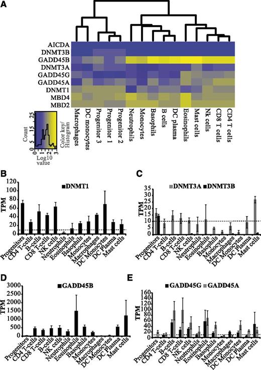 Figure 2. Distinct expression patterns of DNMTs and potential DNA demethylases in hematopoietic cells. (A) Heatmap and clustering based on transcript levels of DNA methyltransferases and putative DNA demethylases showing gene expression levels from low (blue) to high (yellow) (see color key). The heatmaps were constructed using log10-transformed TPM values from CAGE data. For hematopoietic progenitors, individual samples are included because they were isolated based on different surface markers. For other cell types, replicate averages were used. (B-E) Average expression levels (TPM) of DNA methyltransferases (DNMT1, DNMT3A, and DNMT3B) and potential DNA demethylases (GADD45A, B, and G) are shown in hematopoietic cell types. Dotted line represents the threshold of 10 TPM, above which we considered expression to be significant.
