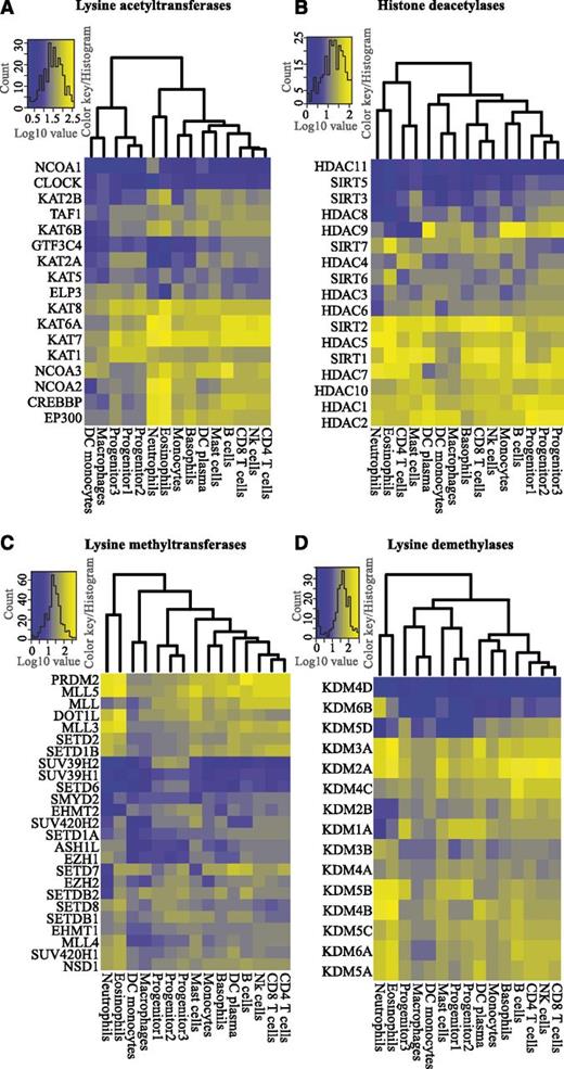 Figure 3. Differential expression of histone modifying enzymes. Unsupervised hierarchical clustering and heatmaps of the expression levels (log10-transformed TPM values) of histone-modifying enzymes in hematopoietic cells, divided into (A) lysine acetyl transferases (KATs), (B) histone deacetylases (HDACs), (C) lysine methyl transferases (KMTs), and (D) lysine demethylases (KDMs).