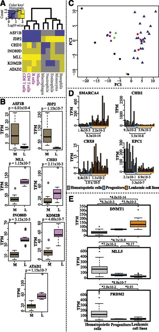 Figure 5. Hematopoietic lineage-specific expression and comparative expression profiles of epigenetic factors in normal hematopoietic cells, progenitor cells, and leukemic cell lines. (A) Heatmap and hierarchical clustering of genes differentially expressed between myeloid and lymphoid lineages (log10-transformed TPM values). (B) Box plots displaying expression levels (TPM values) of the genes in myeloid (M) and lymphoid (L) lineages. P values were calculated with the Mann-Whitney U test (2 sided). (C) PCA analysis of all progenitor samples (red dots), myeloid cells (black dots), lymphoid cells (purple dots), mast and dendritic cells (green dots), and leukemic cell lines (blue triangles) (supplemental Table 1) based on expression of epigenetic factors (TPM values). (D) Bar charts displaying the average transcript levels (TPM values) of SMARCA4, CBX8, CHD2, and EPC1 in normal mature blood cells (gray bars, average of replicates for each cell type), progenitor replicates (blue bars), and leukemic cell lines (orange bars). For cell lines, single datasets were used. (E) Box plots showing the CAGE expression profiles (TPM values) for DNMT1, MLL5, and PRDM2 in leukemic cell lines compared with normal mature hematopoietic cell types and progenitor cells. P values were calculated using the Mann-Whitney U test (2 sided).