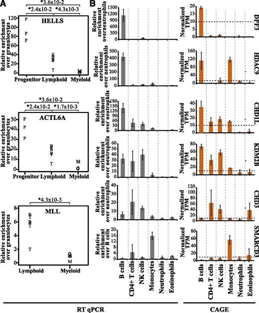 Figure 6. Expression patterns of epigenetic factors validated by qRT-PCR. The qRT-PCR transcript levels were normalized to actin gene expression, and the relative fold enrichment was calculated over the cell type with the lowest expression for each gene (y-axis). (A) The relative fold enrichment of transcript levels of HELLS, ACTL6A, and MLL was determined by qRT-PCR. B cells are depicted as B, T cells as T, CD34+ progenitors as P, granulocytes as G, and monocytes as M. (B) Differential expression patterns of 6 epigenetic factors in different cell types validated by qRT-PCR (gray bars) and compared with the CAGE average TPM values (orange bars). The expression of these genes wa validated using total RNA obtained from 3 individual healthy donors separate from those used for CAGE analysis.