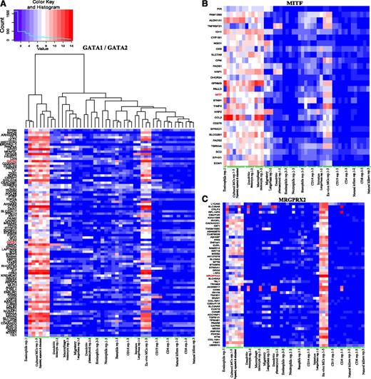 Figure 3. Clusters of MC-relevant genes. The hierarchical clustering of 49 FANTOM5 hematopoietic lineage samples using all data and following extraction of subclusters for (A) GATA1/GATA2 (tree shown in panel A is that same as in panels B and C), (B) MITF, and (C) MRGPRX2. The algorithm is described in the supplemental Methods. More detailed, higher-resolution versions are provided as supplemental Figures 3-5.