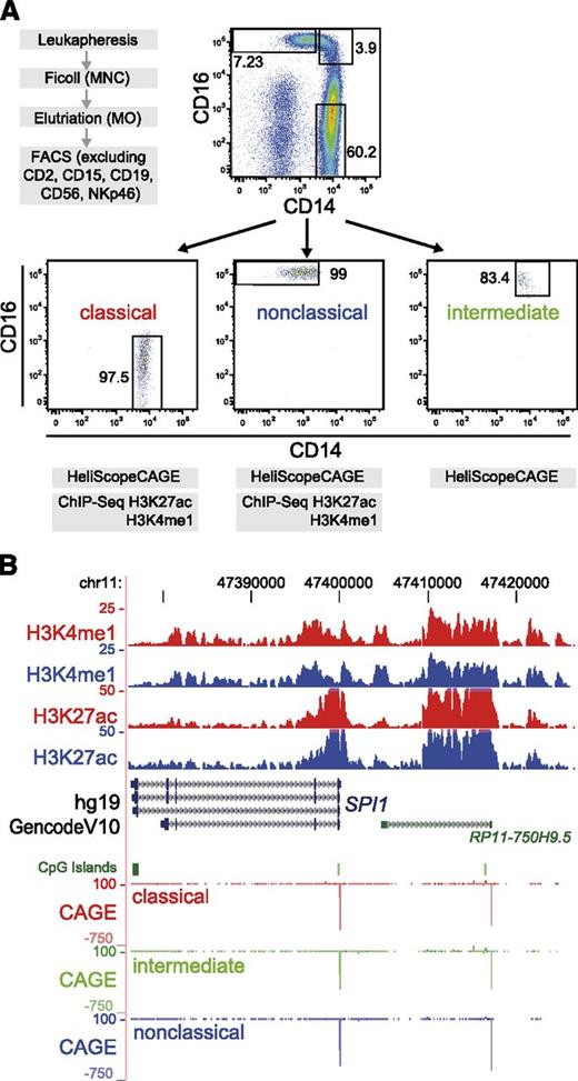 Figure 1. Experimental setup and regulome profile of the human SPI1 locus. (A) Isolation scheme for monocyte subsets, sort gates for the FACS purification, and reanalysis of the 3 CD14/CD16-stained monocyte subsets are shown (1 representative out of 3 independent experiments). (B) Genome browser tracks covering the human SPI1 locus of available epigenetic (H3K4me1 and H3K27ac) and HeliScopeCAGE data (coloring indicates monocyte subtypes: classical, red; intermediate, green; nonclassical, blue). All 3 subsets equally express the myeloid master regulator PU.1, and the 2 major subsets show strikingly similar epigenetic profiles across the locus. The second CAGE peak at right corresponds to the position of the conserved upstream enhancer, well characterized in mice.19