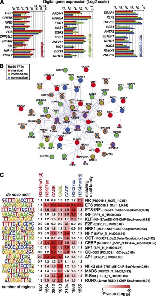 Figure 4. Transcription factor expression and motif enrichment. (A) Digital gene expression (DGE) data for the top 10 monocyte subset-specific transcription factor genes. (B) Combined STRING-based network (confidence view) of the top transcription factors predicted to have the strongest regulatory input in either subset. Coloring of nodes indicates the presence of the transcription factor in the top list of the respective monocyte subset. (C) Enrichment of motifs that were de novo generated from subset-specific CAGE clusters as well as regions showing subset-specific H3K4me1 or H3K27ac deposition as outlined in supplemental Methods. P values for motif enrichment were calculated using the hypergeometric test relative to the distribution in a random, GC-normalized background set. Data are presented as a heatmap (log10 scaled), where red coloring indicates significant motif enrichment in the given sets of subset-specific regions. Numbers in boxes represent relative changes in motif enrichment. De novo–derived motifs were compared with known motifs, and the best-matching motif families are given on the right. The total number of regions per set is given below each heatmap column. For H3K4me1, only promoter-distal regions (d) were considered.