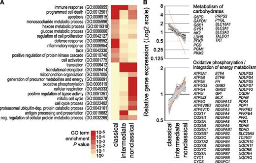 Figure 5. HeliScopeCAGE-based GO and pathway analyses. (A) Heatmap (log10 scaled) of significance values for GO enrichment terms related to biological processes. Enrichment for GO terms was calculated for subset-specific gene sets using DAVID tools.24 P values for enrichment of each GO term were calculated using the hypergeometric test and corrected for multiple hypothesis testing using the Benjamini-Hochberg procedure. Intensity of the red coloring indicates the significance of term enrichment. Only generic terms are given. (B) Relative HeliScopeCAGE-based gene expression levels of genes in enriched pathways. Symbols of subset-specific genes are provided for each pathway. Additional examples, including lysozyme, nucleotide oligomerization domain-like/Toll-like receptor–like receptor signaling pathway, antigen processing and presentation, ribosome, and protein metabolism are shown in supplemental Figure 6. Notably, the observed differences were independent of the normalization method and also observed using normalization to a fixed tag count (TPM) or relative log expression normalization (as provided by EdgeR) of raw tag counts.