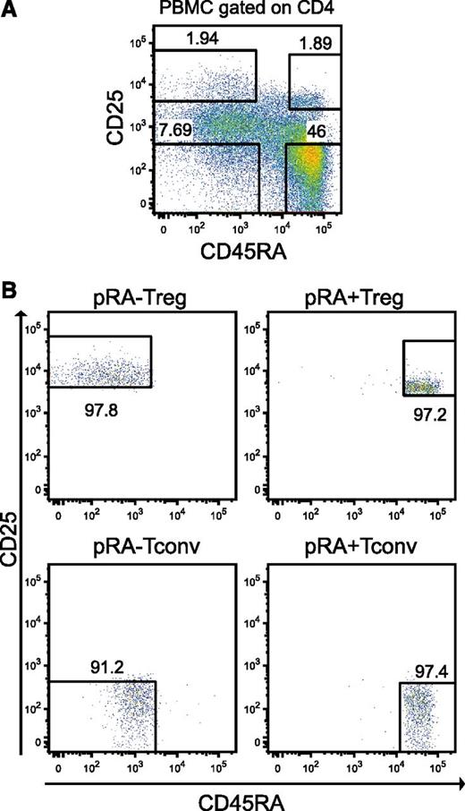 Figure 1. T-cell isolation and expansion. (A) Sorting strategy for CD4+CD25highCD45RA+ (pRA+Treg), CD4+CD25highCD45RA– (pRA–Treg), CD4+CD25–CD45RA+ (pRA+Tconv) and CD4+CD25–CD45RA– (pRA–Tconv) from human peripheral blood mononuclear cells (PBMCs) as described in “Methods”. (B) Cells were reanalyzed after sorting on the FACSAria.