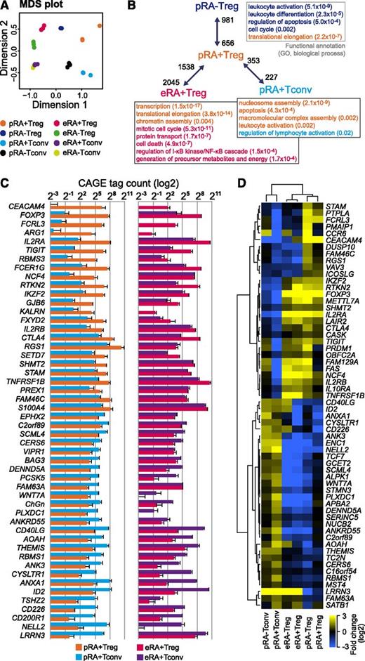 Figure 2. HeliScopeCAGE-based DGE analysis. (A) A multidimensional scaling (MDS) plot for replicate HeliScopeCAGE-based DGE data shows distance of samples based on tag distribution in expressed genes. (B) Differential gene expression between pRA+Treg and the indicated T-cell types. Numbers indicate the number of significantly upregulated genes in either cell type (5% false discovery rate cutoff) for each pairwise comparison. Boxes contain generic gene ontology (GO) terms (color coding refers to the corresponding cell type, numbers in parentheses correspond to enrichment q values) enriched in each differential gene set. A complete list of all expressed genes and corrected q values for all relevant pairwise comparisons is provided in supplemental Table 3. (C) DGE data for the top 50 significantly differentially expressed genes in a pairwise comparison of pRA+Treg vs pRA+Tconv. Shown are data for both primary and expanded RA+ cells. (D) A Treg core signature displaying unsupervised hierarchical clustering of genes differing highly significantly in expression between pTreg and pTconv in both CD45RA+ naïve and CD45RA– memory subpopulations. eTreg were included in the clustering to visualize expression changes of core Treg genes after in vitro expansion. Values were log2 transformed and normalized to the geometric mean of tag counts in pTreg and pTconv subpopulations for every gene.